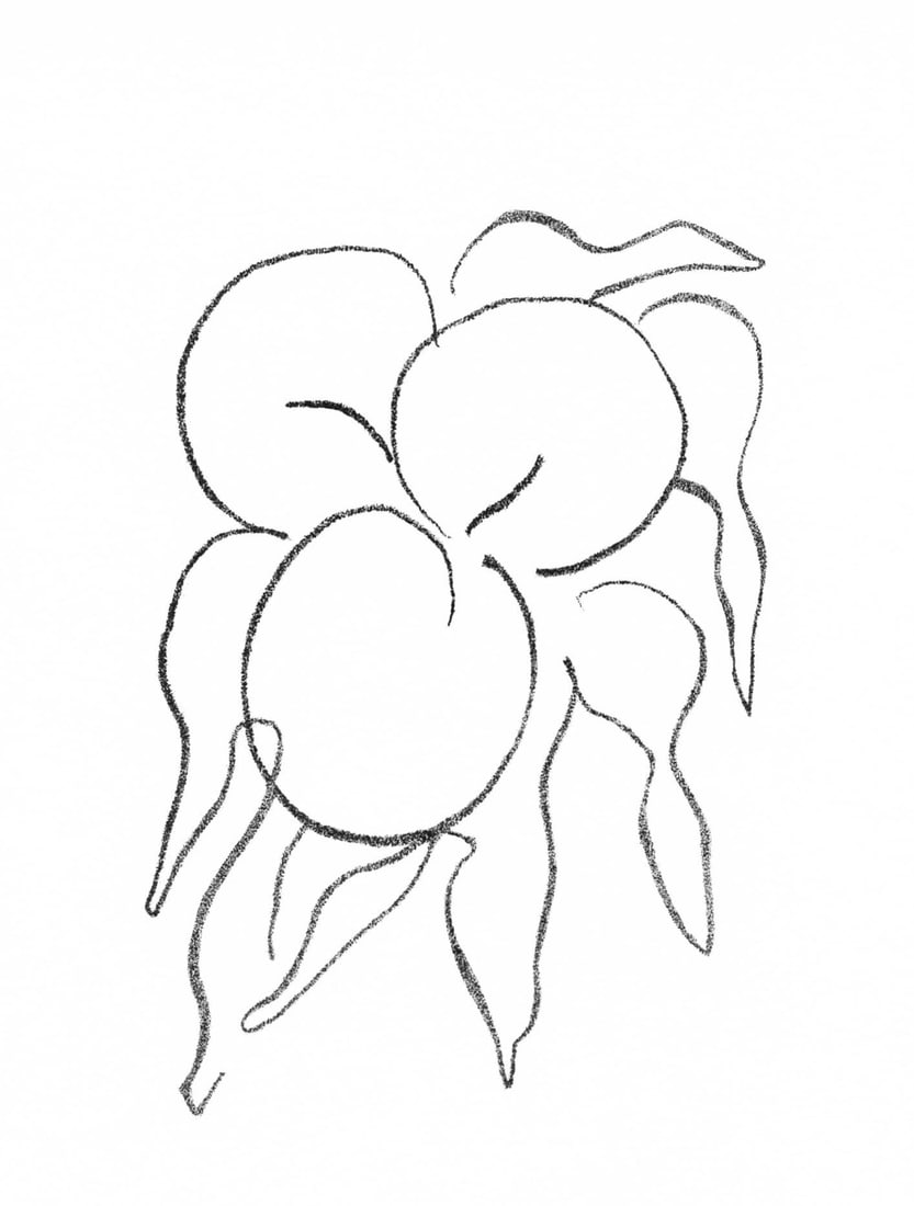 Henri Matisse, Fruits, Prints from the Mourlot Press, Limited Edition Lithograph: Lithograph on velin d'Arches paper. Paper Size: 10 x 7.5 inches. Inscription: Unsigned and unnumbered, as issued. Notes: From the album, Prints from the Mourlot Press, exhibition sponsored by the Fren