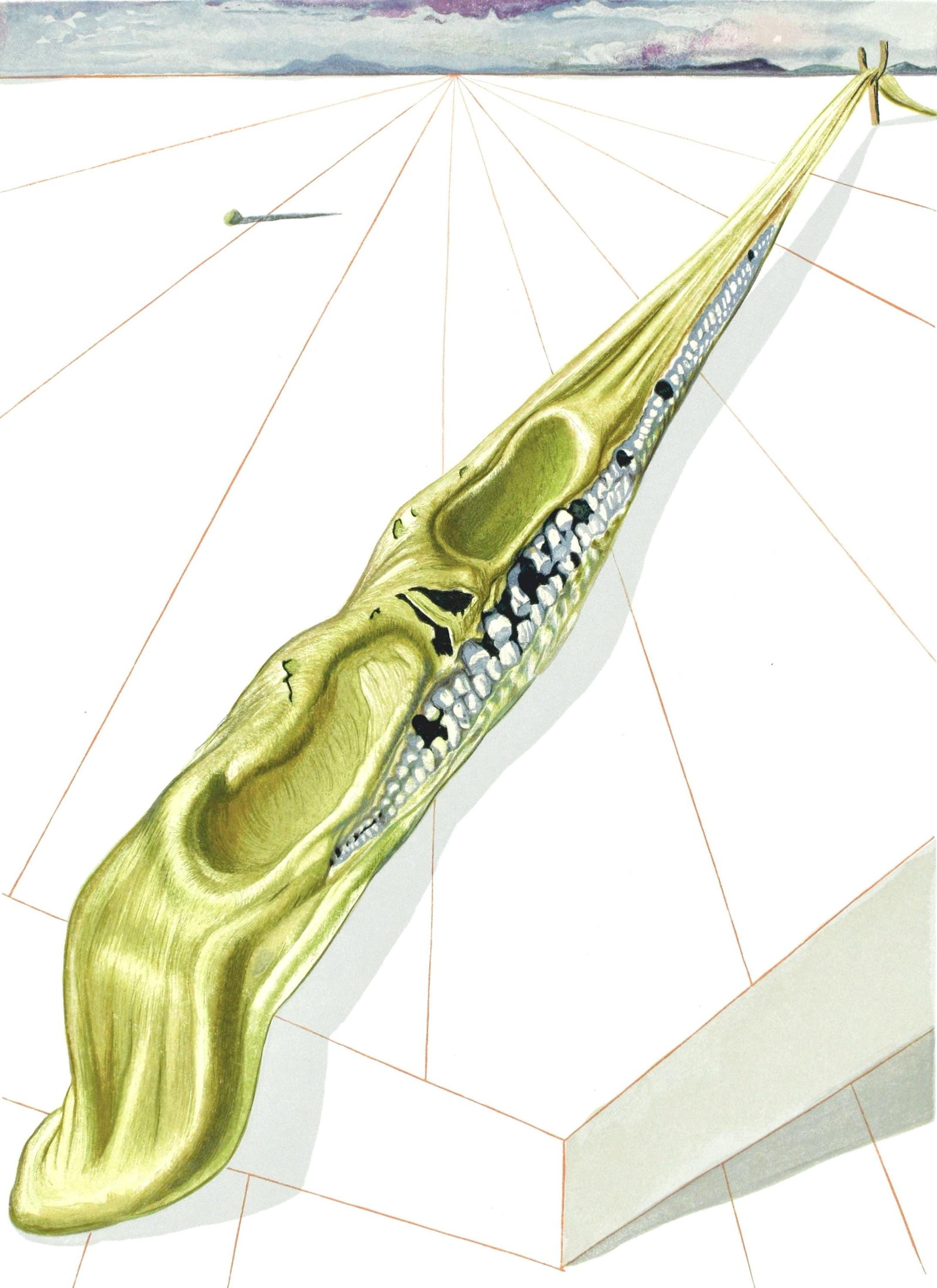 Salvador Dali, Inferno XIV (Michler/Lopsinger 1039-1138; Field 189-200), La Divina Commedia, Limited (1 of 4)