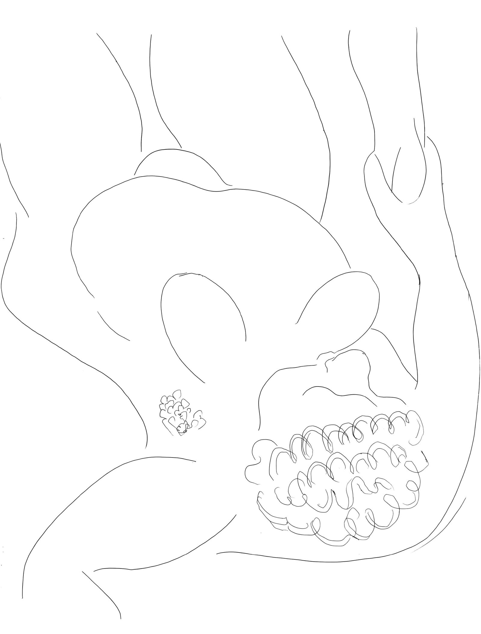 Henri Matisse, Le Pitre Chatie, Poesies de Stephane Mallarme, Limited Edition Lithograph: Lithograph on velin papier bouffant des Papeteries de Casteljaloux paper. Paper Size: 11.02 x 8.46 inches. Inscription: Unsigned and unnumbered, as issued. Condition: Very good/excellent, consistent