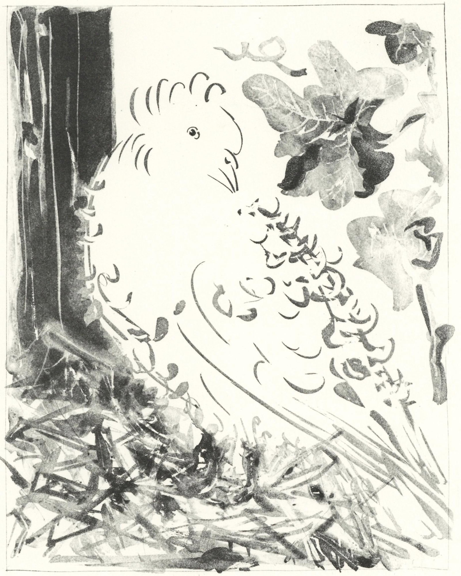 Pablo Picasso, Le Pigeon (The Pigeon) (Orozco p.82), Histoire naturelle, Limited Edition Lithograph (1 of 4)