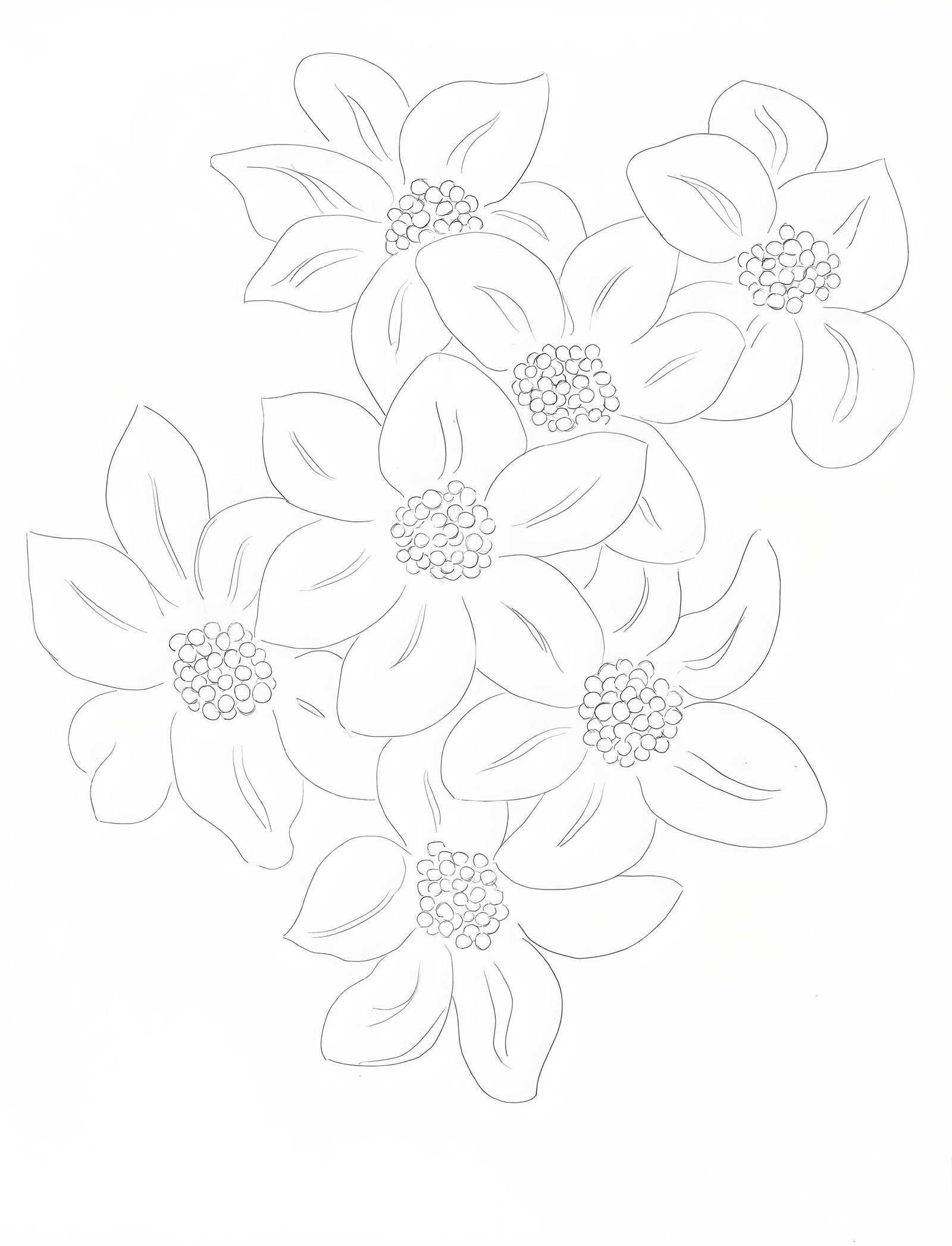 Henri Matisse, Les Fleurs, Poesies de Stephane Mallarme, Limited Edition Lithograph (1 of 4)