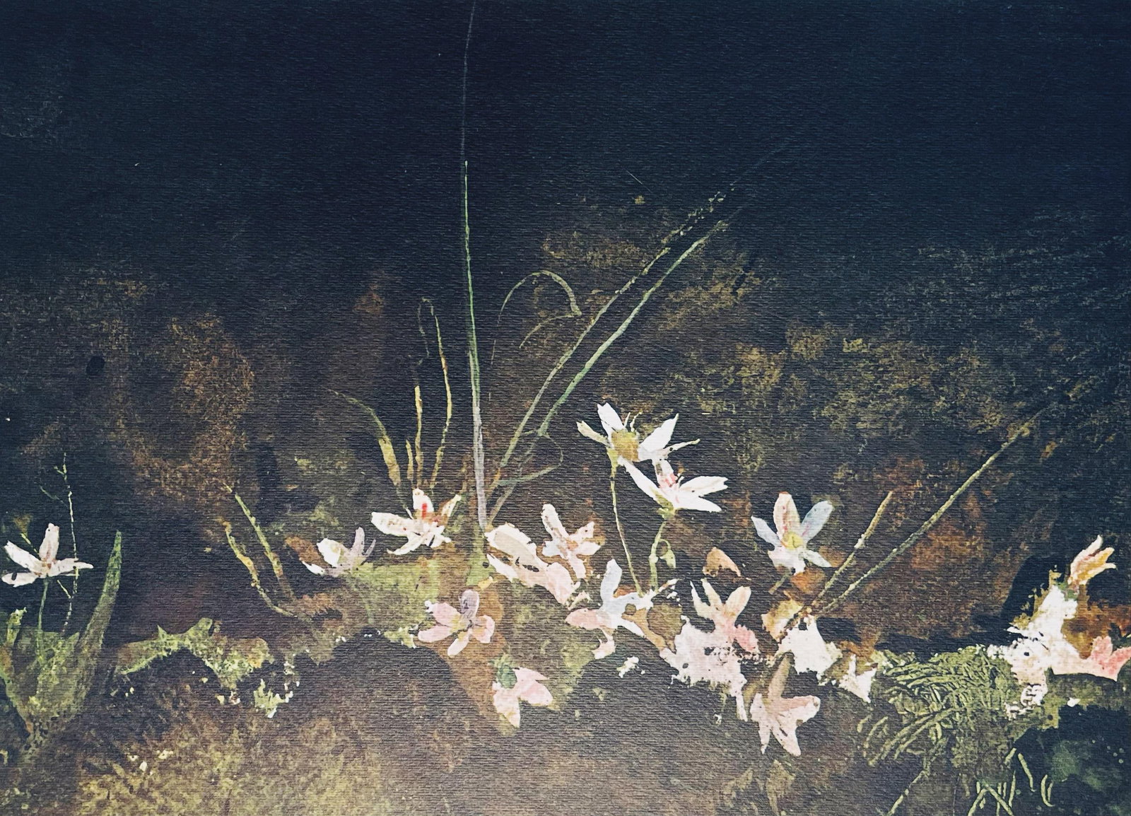 Andrew Wyeth, May Day, The Four Seasons, Limited Edition Lithograph: Lithograph in colors on velin paper. Paper Size: 13 x 17 inches. Inscription: Unsigned and unnumbered, as issued. Condition: Very good/excellent, consistent with age. Notes: From the folio, The Four