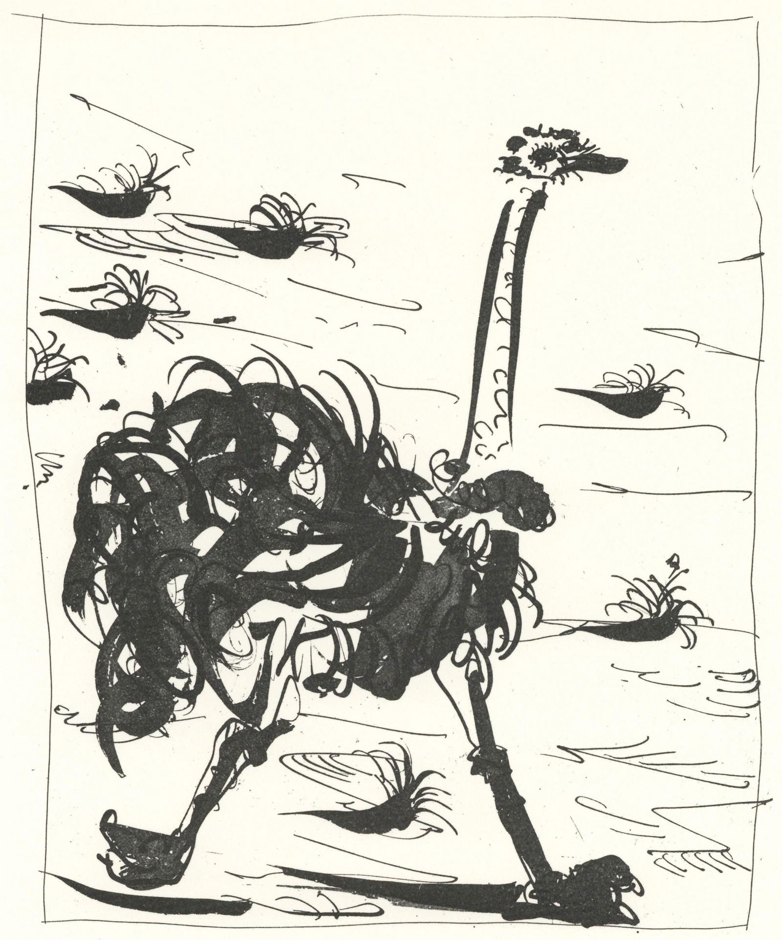 Pablo Picasso, L'Autruche (The Ostrich) (Orozco p.82), Histoire naturelle, Limited Edition (1 of 4)