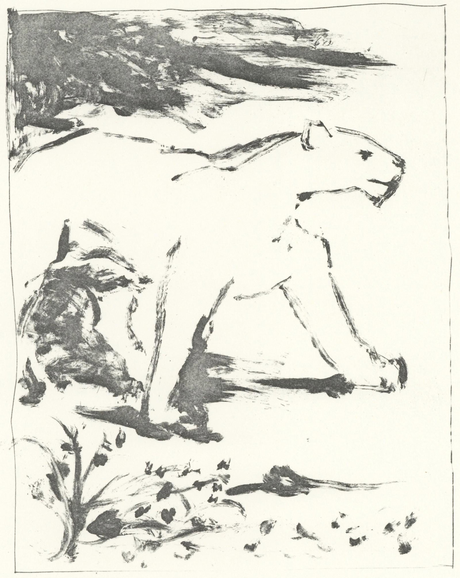 Pablo Picasso, La Lionne (The Lioness) (Orozco p.82), Histoire naturelle, Limited Edition Lithograph: Lithograph on papier bouffant des Papeteries de Casteljoux paper. Unsigned and unnumbered, as issued. Paper Size: 12.99 x 9.84 inches. Catalogue raisonne reference: Orozco, Miguel. The Orozco Collecti