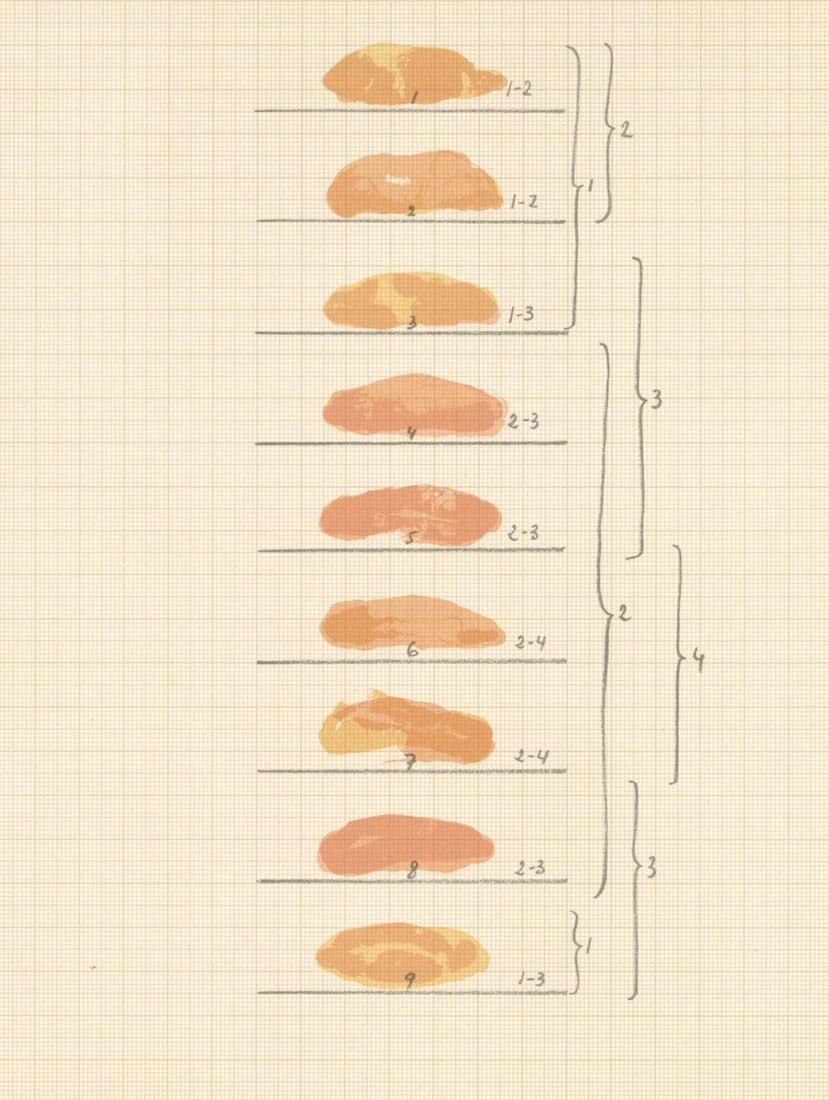 Joan Hernandez-Pijuan, Composition, Ediciones Poligrafa, Redfern Gallery, Limited Edition Lithograph: Lithograph on velin paper. Paper size: 10 x 7.375 inches. Excellent condition. Unsigned and unnumbered, as issued. Notes: From the album, Ediciones Poligrafa, Redfern Gallery, 1979. Published by