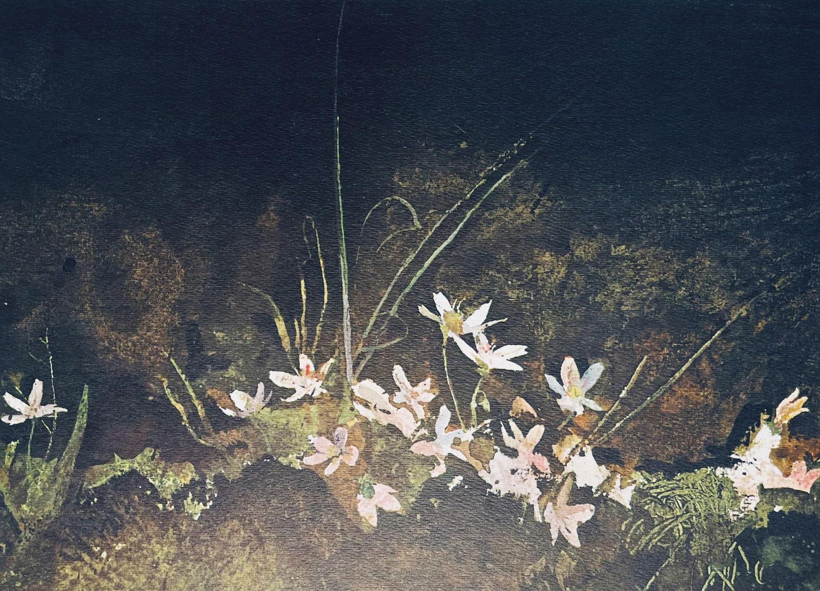 Andrew Wyeth, May Day, The Four Seasons, Limited Edition Lithograph: Lithograph in colors on velin paper. Paper Size: 13 x 17 inches. Inscription: Unsigned and unnumbered, as issued. Condition: Very good/excellent, consistent with age. Notes: From the folio, The Four