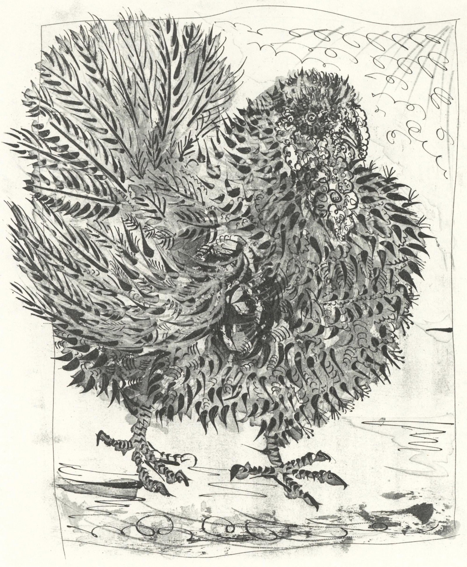 Pablo Picasso, Le Dindon (The Turkey) (Orozco p.82), Histoire naturelle, Limited Edition Lithograph (1 of 4)