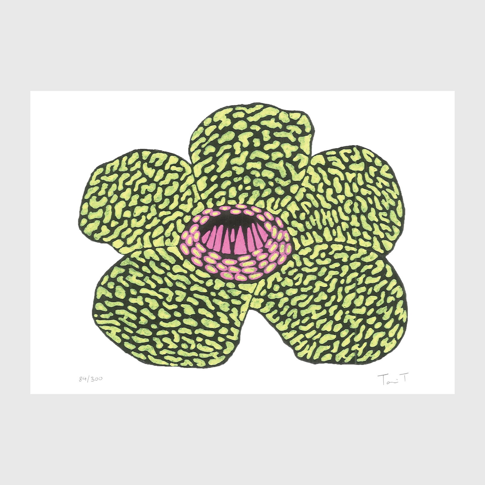 Black & Yellow Rafflesia Flower (1 of 4)