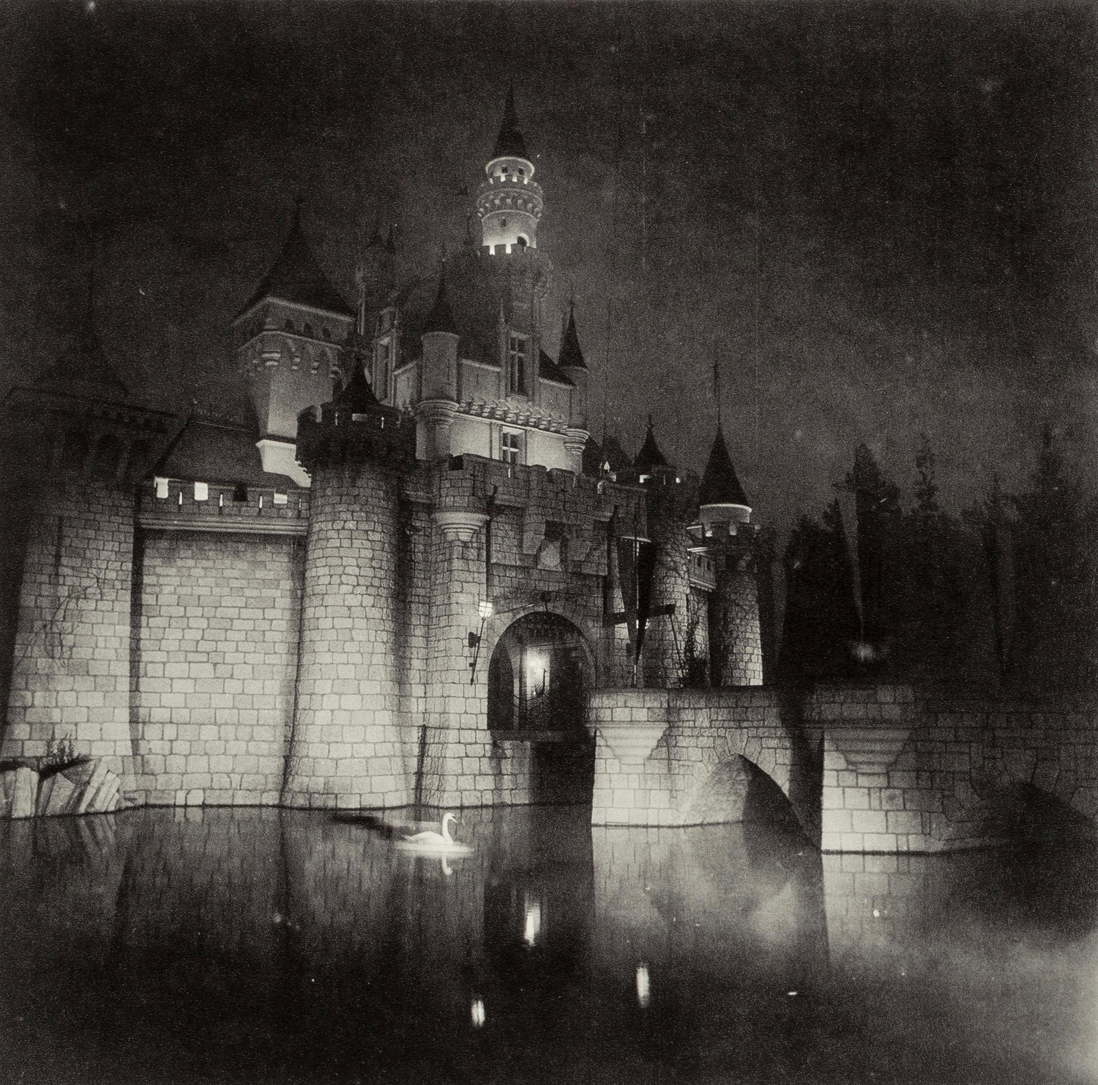 Diane Arbus, Composition, Diane Arbus, Electa Editrice Portfolios, Limited Edition Heliogravure (1 of 4)