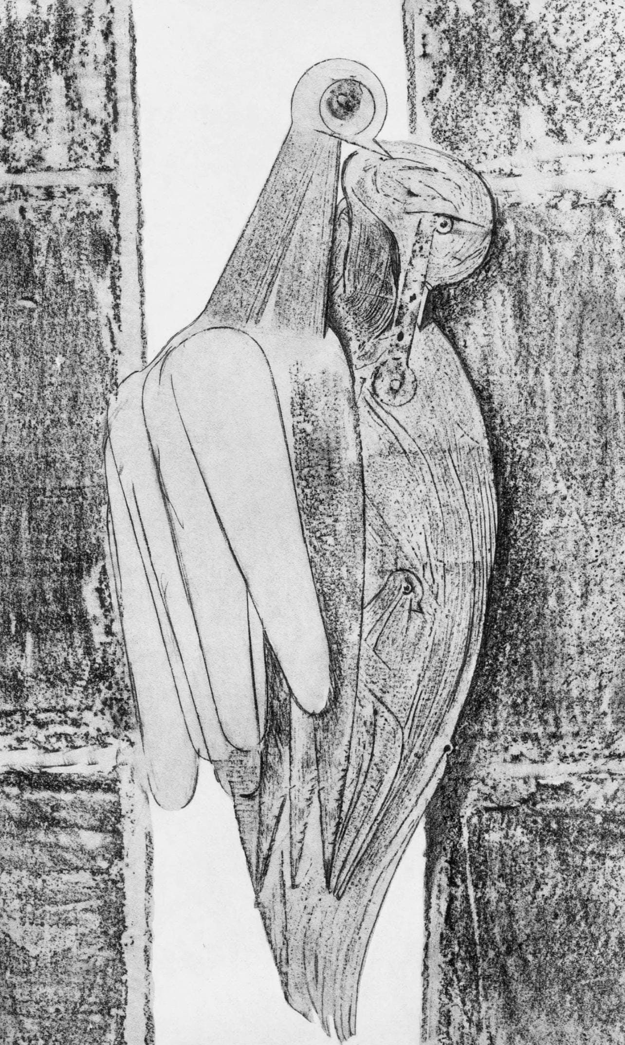 Max Ernst, Composition (Spies/Leppien 222), Histoire Naturelle, Limited Edition Lithograph: Collotype from frottage on velin paper. Paper size: 19.625 x 12.75 inches. Excellent condition. Unsigned and unnumbered, as issued. Notes: From the album, Max Ernst, Histoire Naturelle, 1972. Publishe