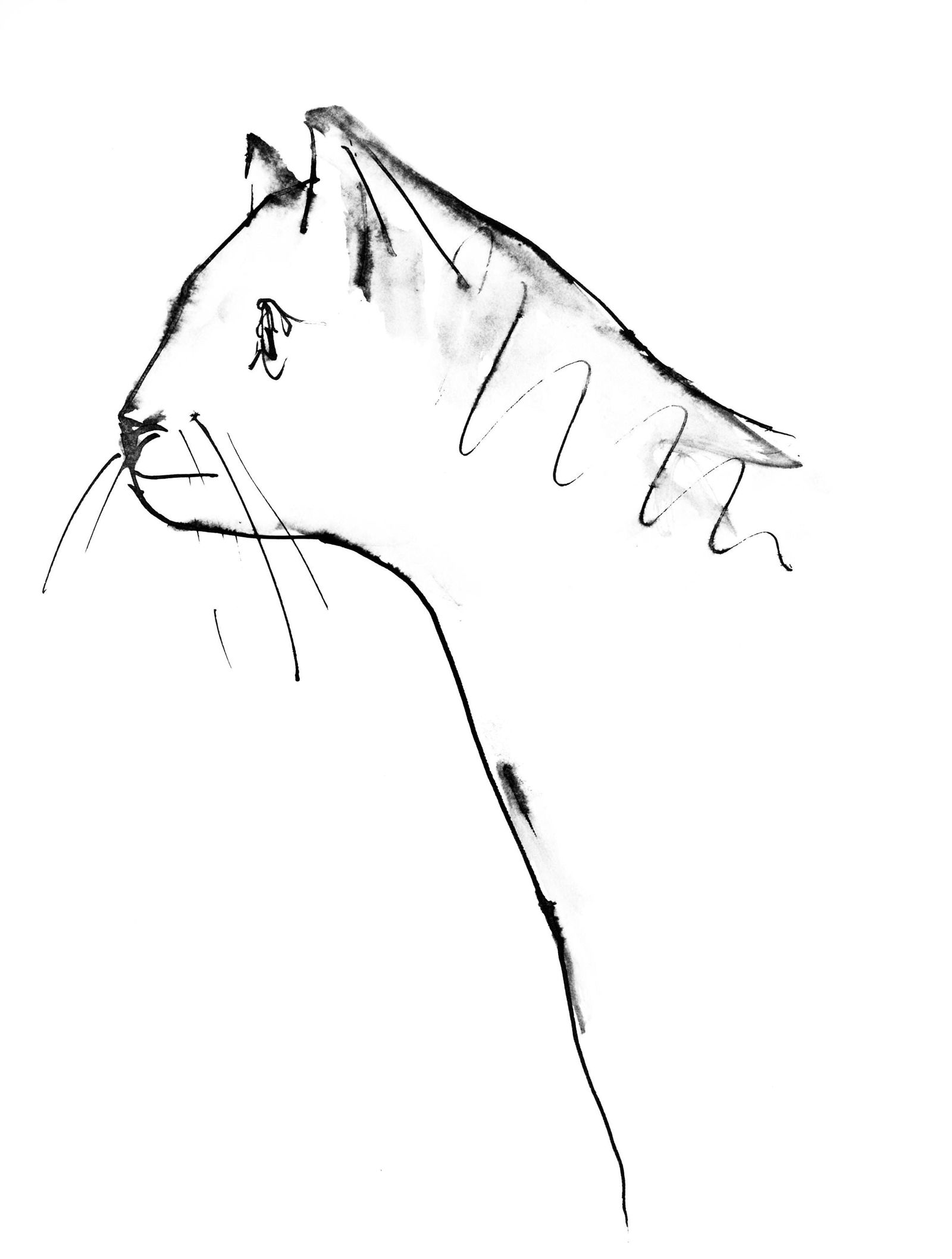 Pablo Picasso, Un chat (Cramer 84; Johnson/Stein 77), 40 dessins de Picasso en marge du Buffon, (1 of 4)