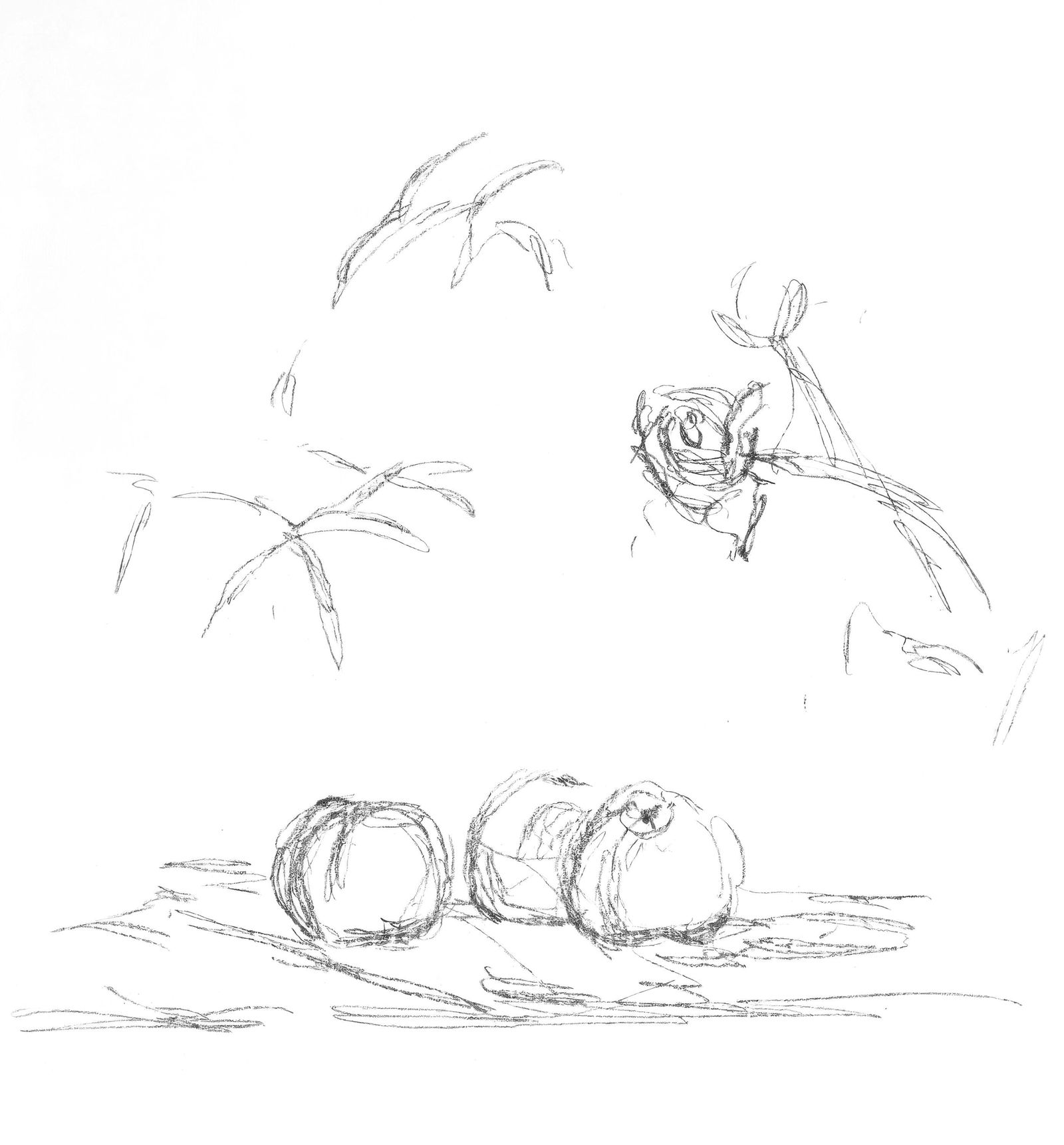 Alberto Giacometti, Flowers, from Memories and Portraits of Artists, Limited Edition Lithograph,: This exquisite lithograph by Alberto Giacometti (1901-1966), titled Fleurs (Flowers), originates from the 1972 edition published by Editions A. C. Mazo et Cie., Paris, in collaboration with Leon