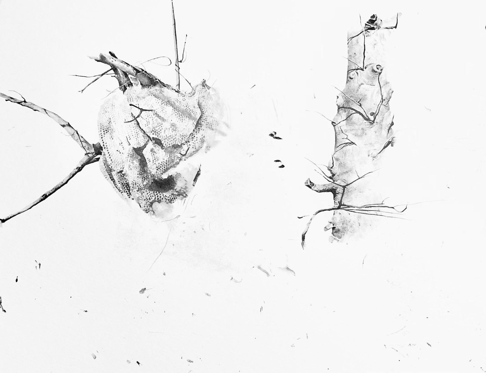 Andrew Wyeth, Storing Up, The Four Seasons, Limited Edition Lithograph: Lithograph on velin paper. Paper Size: 13 x 17 inches. Inscription: Unsigned and unnumbered, as issued. Condition: Very good/excellent, consistent with age. Notes: From the folio, The Four Seasons,