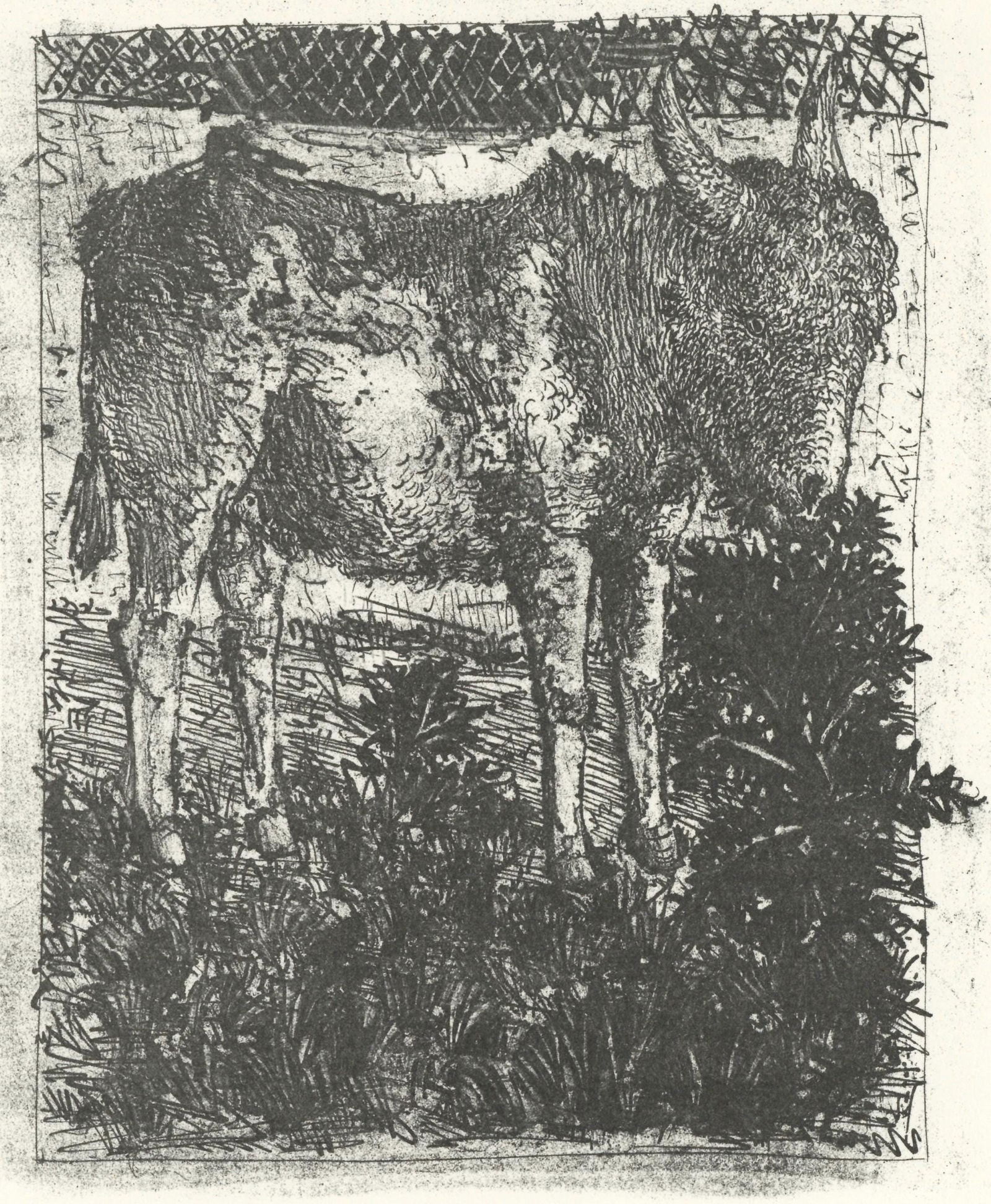 Pablo Picasso, L'Ane (The Donkey) (Orozco p.82), Histoire naturelle, Limited Edition Lithograph (1 of 4)