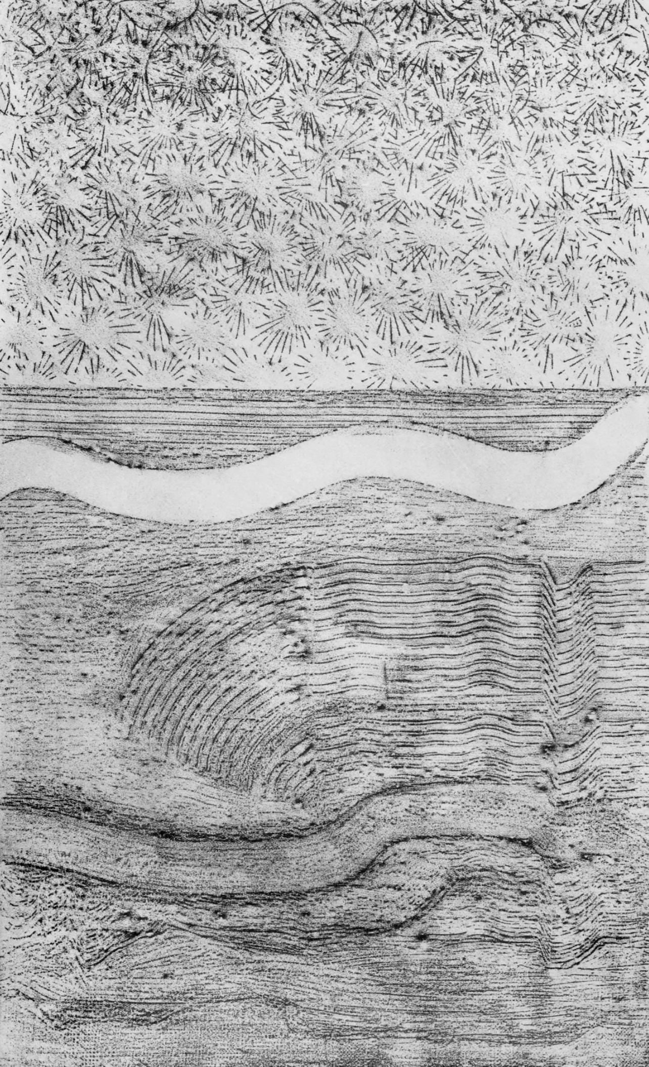 Max Ernst, Composition (Spies/Leppien 222), Histoire Naturelle, Limited Edition Lithograph: Collotype from frottage on velin paper. Paper size: 19.625 x 12.75 inches. Excellent condition. Unsigned and unnumbered, as issued. Notes: From the album, Max Ernst, Histoire Naturelle, 1972.