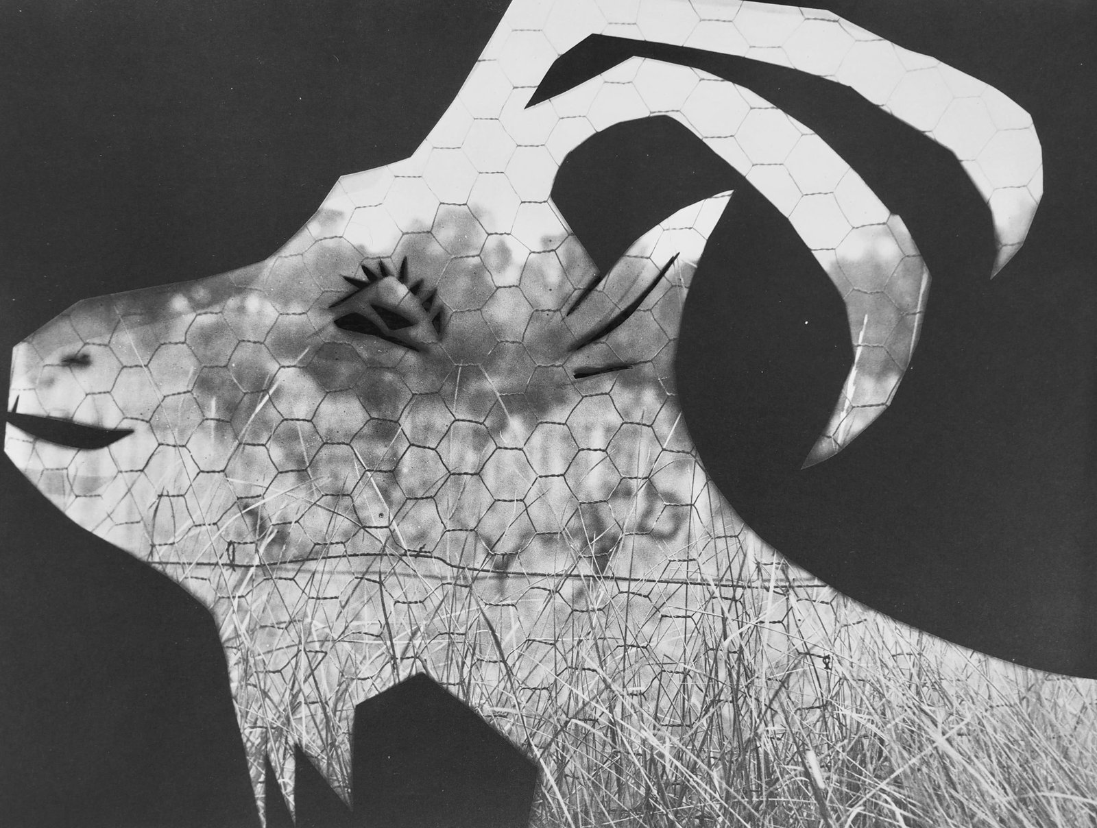 Pablo Picasso, Andre Villers, La chevre au grillage (Cramer 115), Diurnes, Decoupages et: Lithograph, stencil on velin d'Arches paper. Paper Size: 11.75 x 15.75 inches. Inscription: Unsigned and unnumbered, as issued. Catalogue raisonne reference: Goeppert, Sebastian, et al. Pablo Picasso: