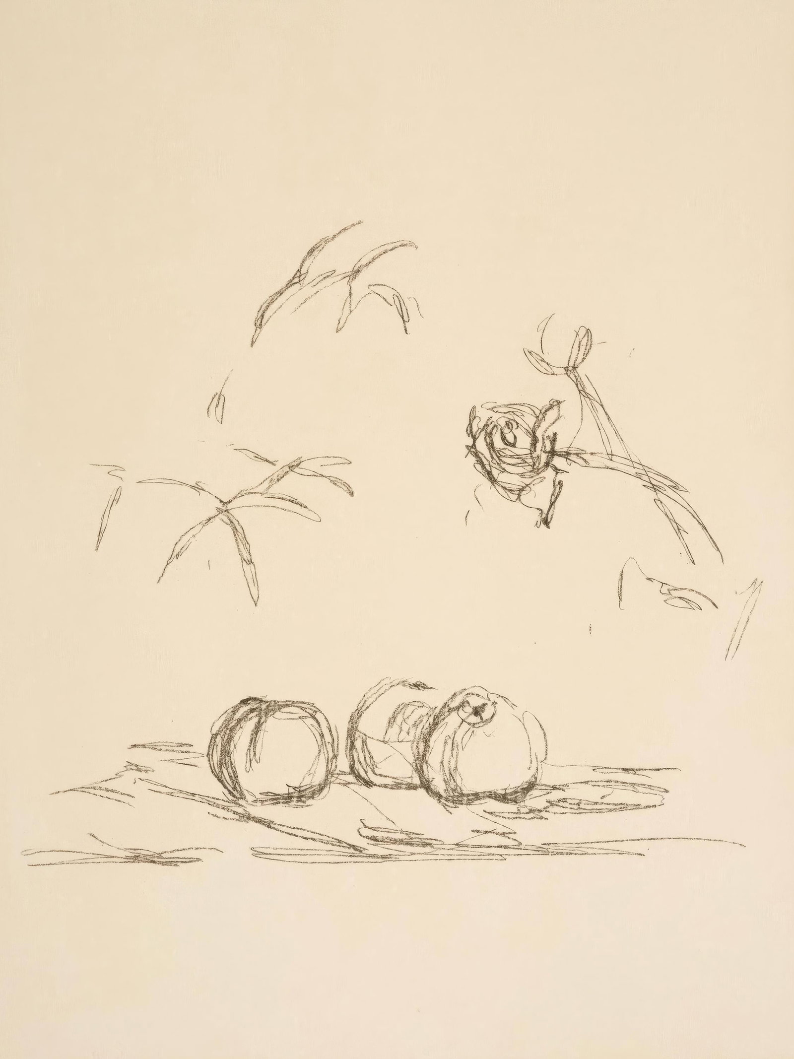 Alberto Giacometti, Flowers, from Memories and Portraits of Artists, Limited Edition Lithograph, (1 of 4)