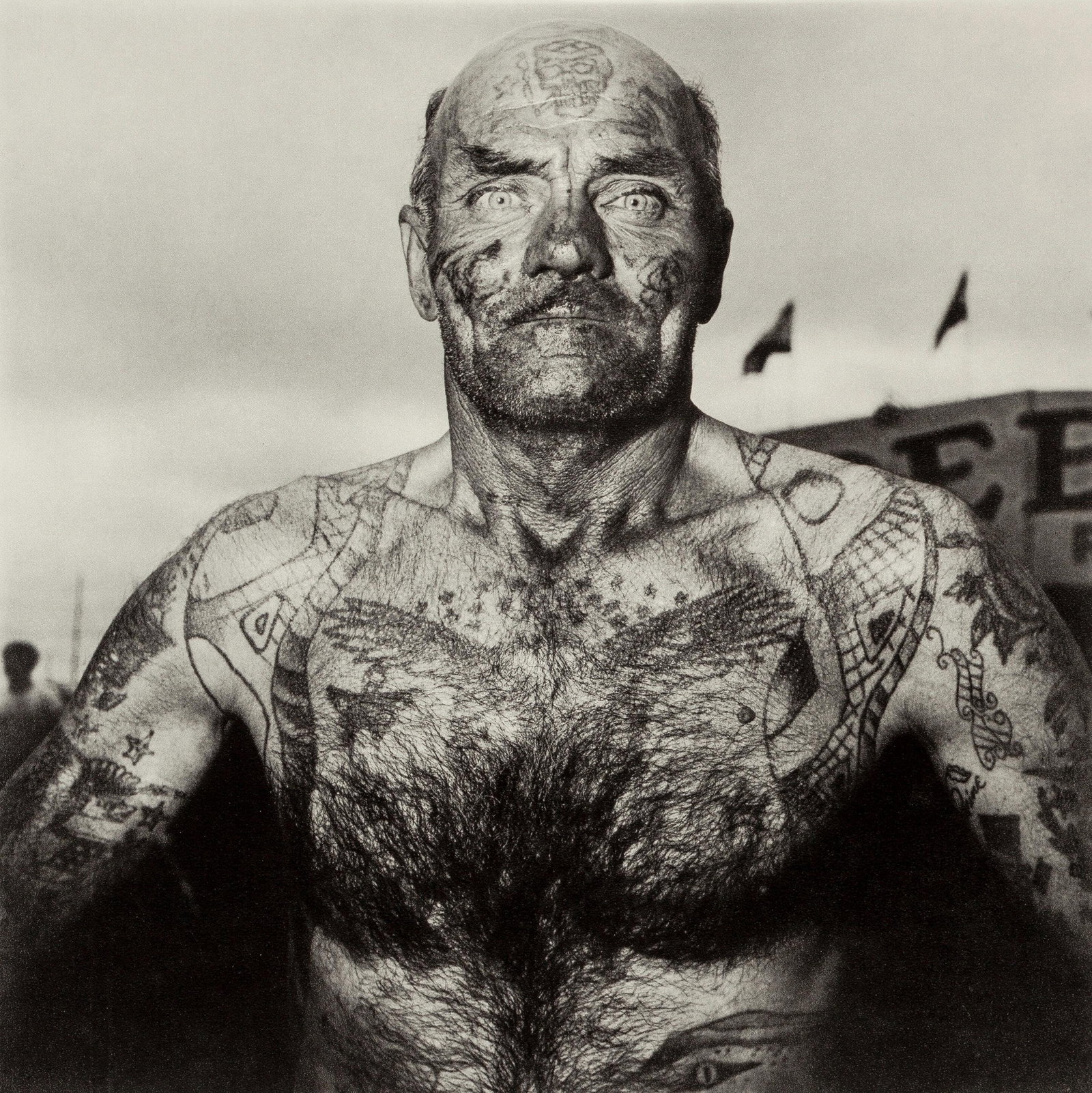 Diane Arbus, Composition, Diane Arbus, Electa Editrice Portfolios, Limited Edition Heliogravure (1 of 4)