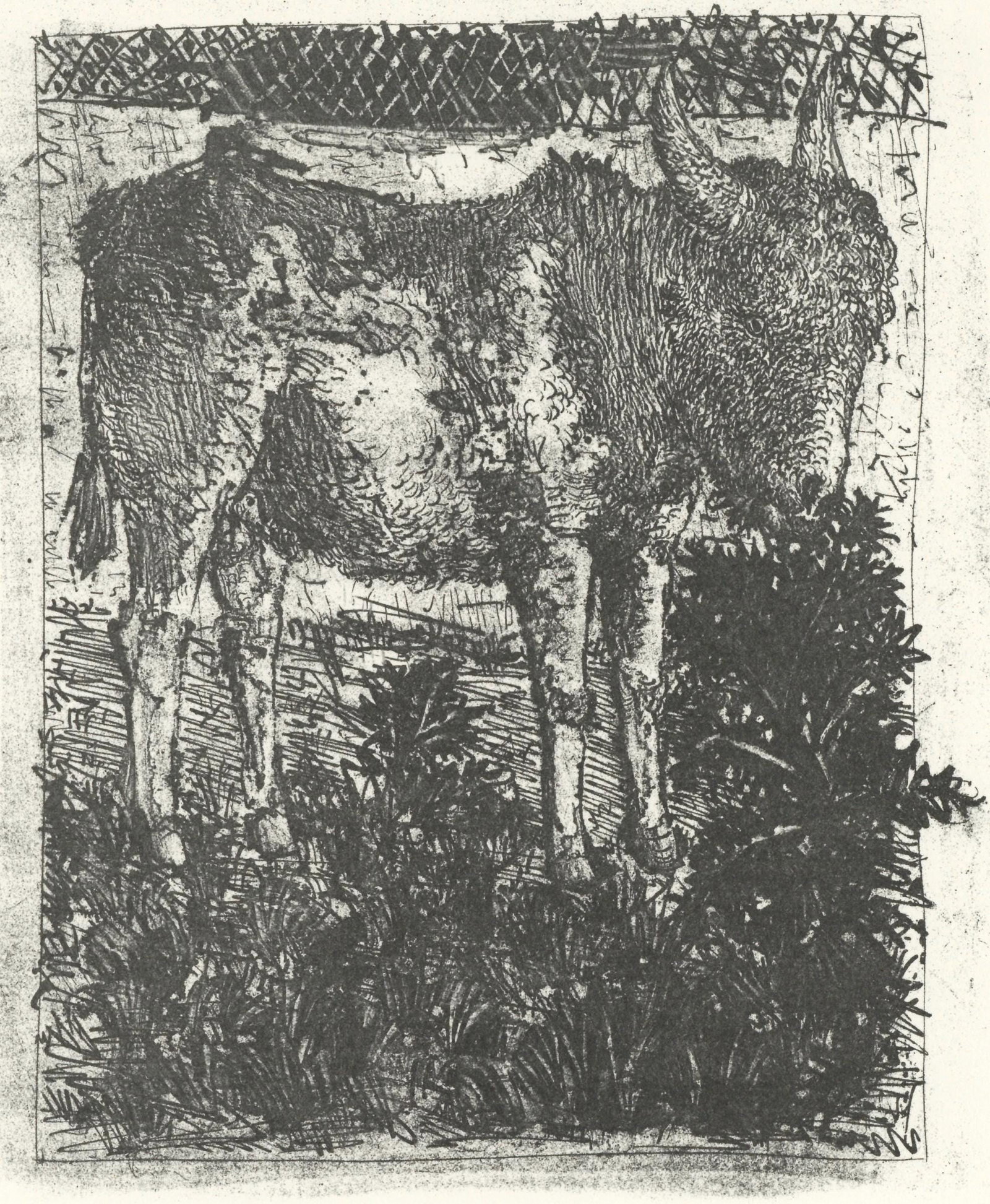 Pablo Picasso, L'Ane (The Donkey) (Orozco p.82), Histoire naturelle, Limited Edition Lithograph: Lithograph on papier bouffant des Papeteries de Casteljoux paper. Unsigned and unnumbered, as issued. Paper Size: 12.99 x 9.84 inches. Catalogue raisonne reference: Orozco, Miguel. The Orozco Collecti