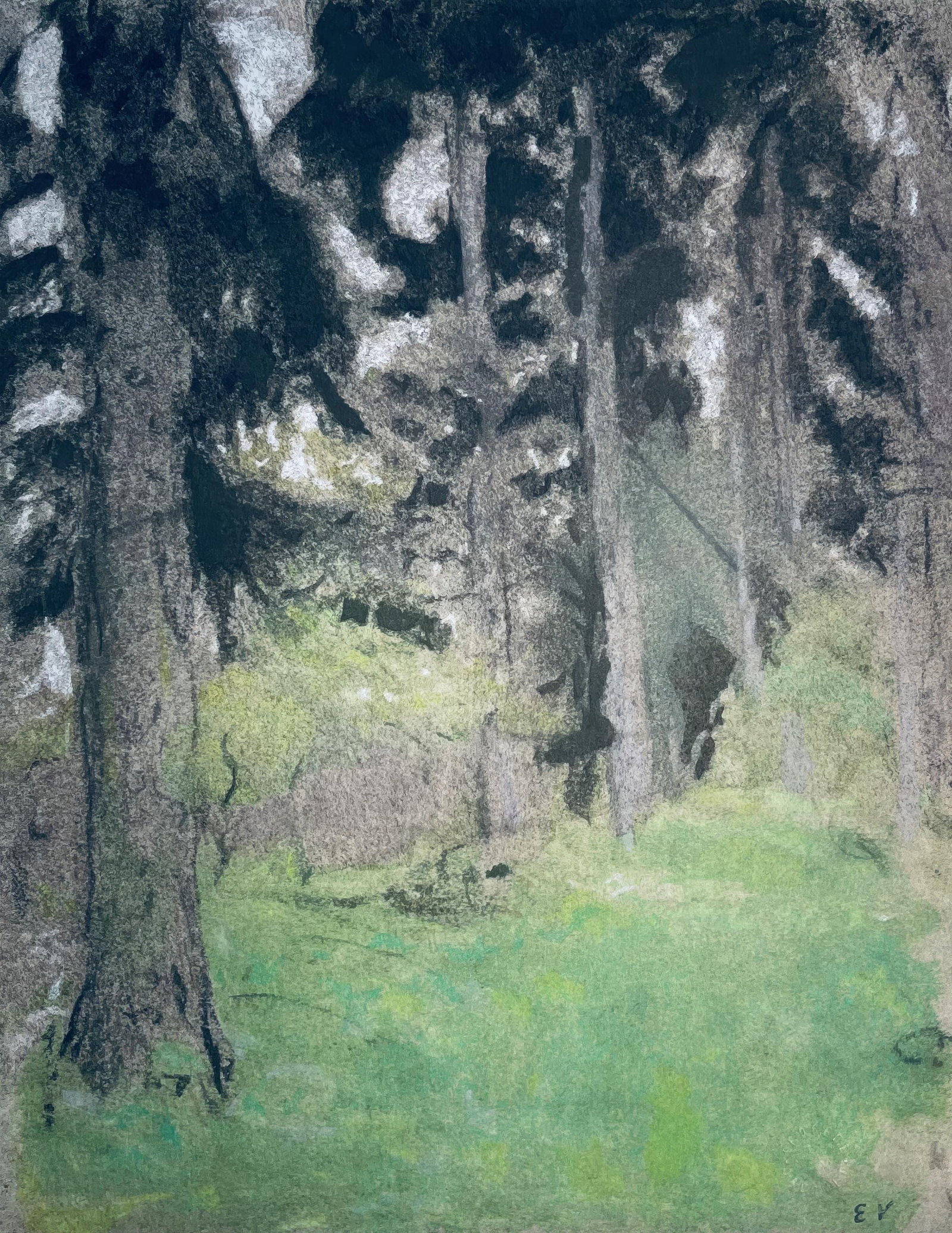 Jean-Edouard Vuillard, The Fir Trees, from Vuillard, Twelve Pastels, Limited Edition Lithograph and (1 of 4)