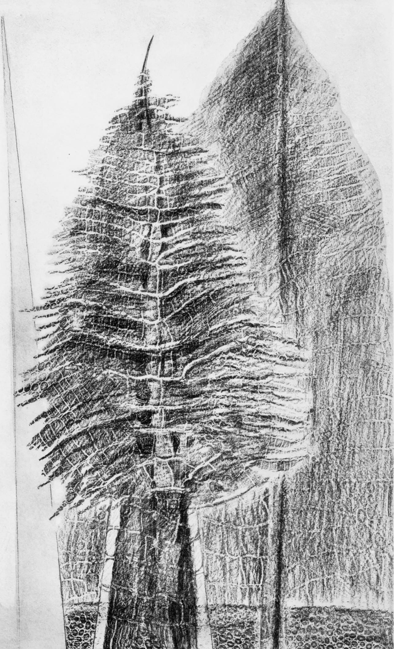 Max Ernst, Composition (Spies/Leppien 222), Histoire Naturelle, Limited Edition Lithograph: Collotype from frottage on velin paper. Paper size: 19.625 x 12.75 inches. Excellent condition. Unsigned and unnumbered, as issued. Notes: From the album, Max Ernst, Histoire Naturelle, 1972. Publishe