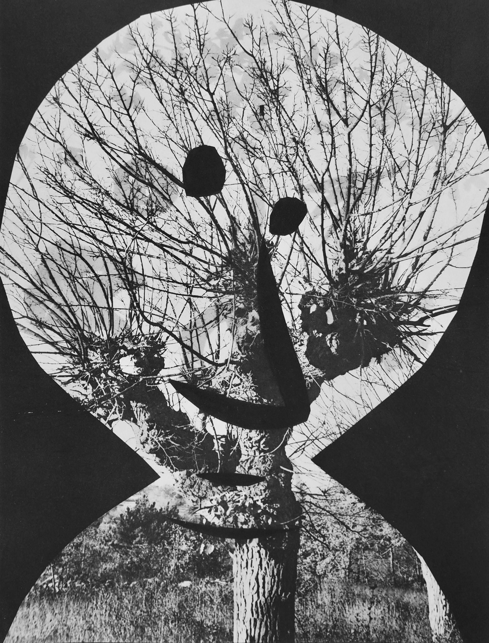 Pablo Picasso, Andre Villers, Le corrigan effeuille (Cramer 115), Diurnes, Decoupages et: Lithograph, stencil on velin d'Arches paper. Paper Size: 15.75 x 11.75 inches. Inscription: Unsigned and unnumbered, as issued. Catalogue raisonne reference: Goeppert, Sebastian, et al. Pablo Picasso: