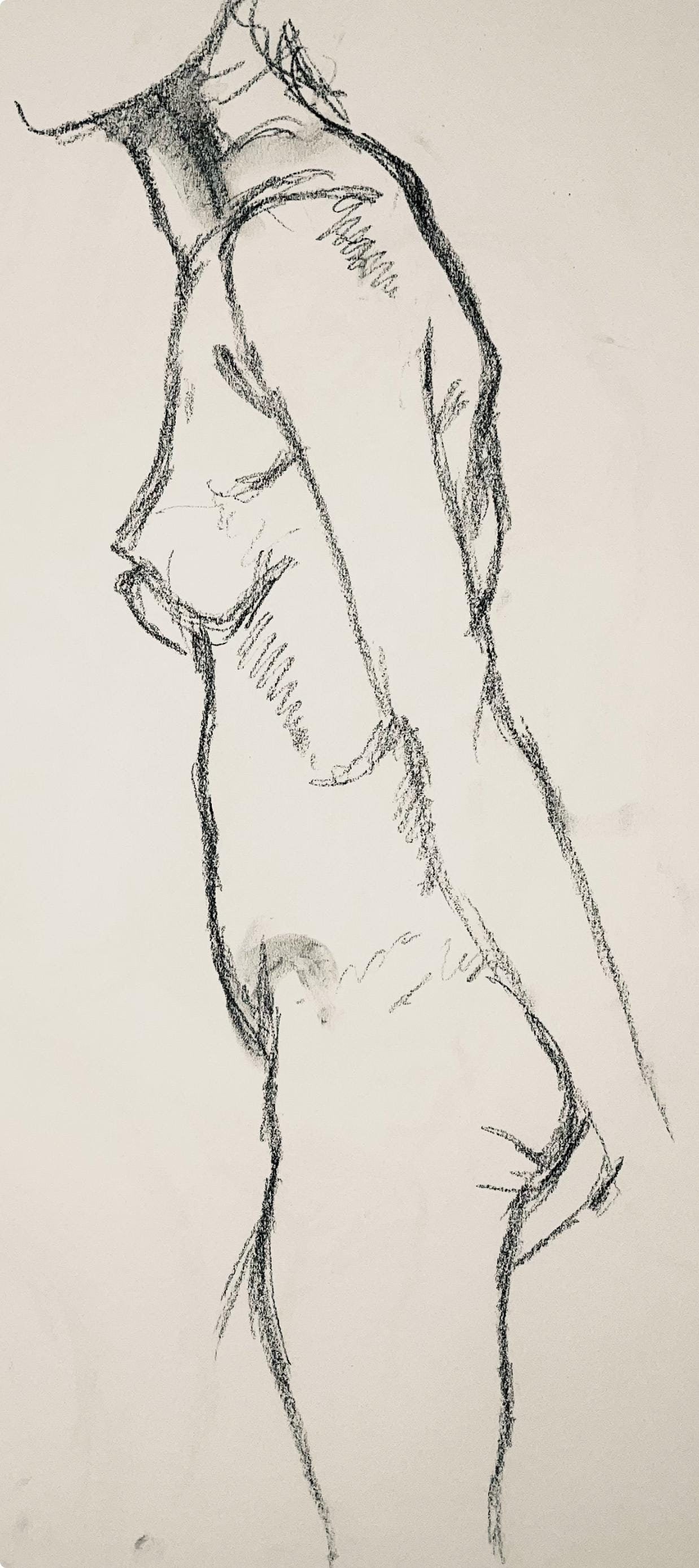 Ian Hornak, Renaissance Female Nude Figure Study, 1963, Original Drawing: Charcoal on velin paper, circa 1963. Paper Size: 23 x 18 inches. Good condition, consistent with age. Inscription: Unsigned, Estate stamped, verso. Provenance: Estate of Ian Hornak, East Hampton. Note