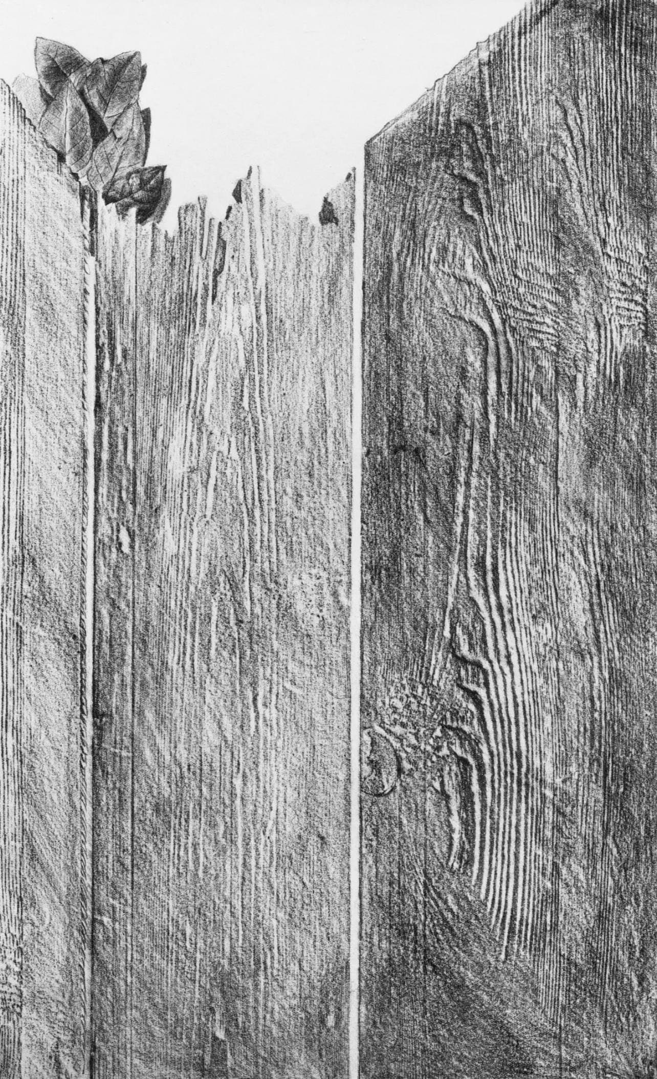 Max Ernst, Composition (Spies/Leppien 222), Histoire Naturelle, Limited Edition Lithograph: Collotype from frottage on velin paper. Paper size: 19.625 x 12.75 inches. Excellent condition. Unsigned and unnumbered, as issued. Notes: From the album, Max Ernst, Histoire Naturelle, 1972.