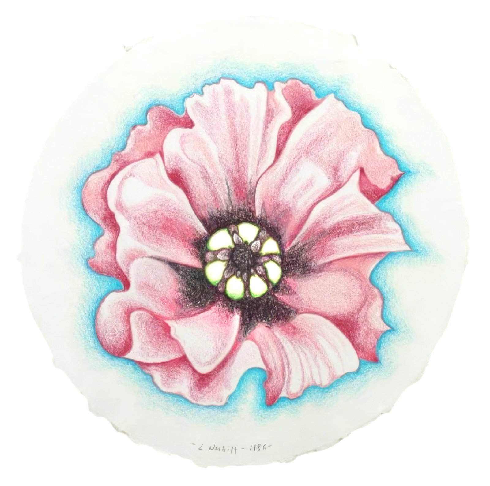 Lowell Nesbitt, Pink Poppy, Original Pastel Drawing, 1986 (1 of 4)