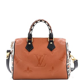 Louis Vuitton Speedy Bandouliere Bag