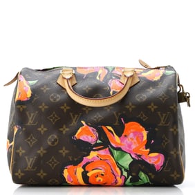 Louis Vuitton Speedy Handbag