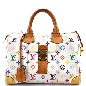 Louis Vuitton Speedy Handbag