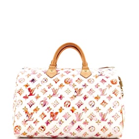 Louis Vuitton Speedy Handbag