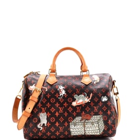 Louis Vuitton Speedy Bandouliere Bag