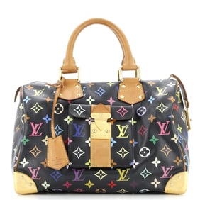 Louis Vuitton Speedy Handbag