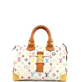 Louis Vuitton Speedy Handbag