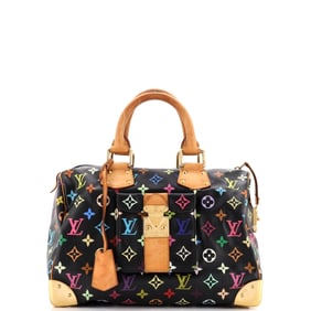 Louis Vuitton Speedy Handbag