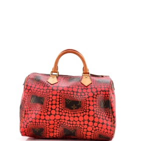 Louis Vuitton Speedy Handbag