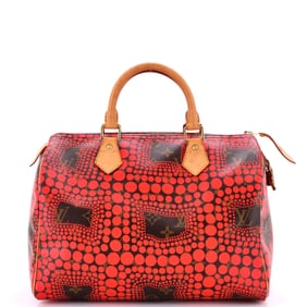 Louis Vuitton Speedy Handbag