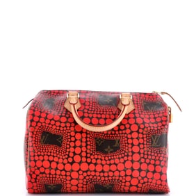 Louis Vuitton Speedy Handbag