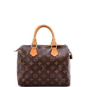 Louis Vuitton Speedy Handbag