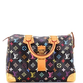 Louis Vuitton Speedy Handbag