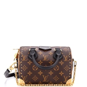 Louis Vuitton Speedy Trunk Bag