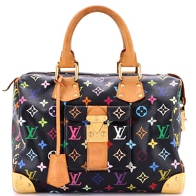 Louis Vuitton Speedy Handbag