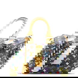 Louis Vuitton Speedy Handbag