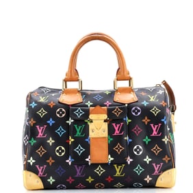Louis Vuitton Speedy Handbag