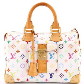 Louis Vuitton Speedy Handbag