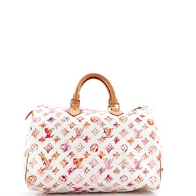Louis Vuitton Speedy Handbag