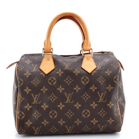 Louis Vuitton Speedy Handbag