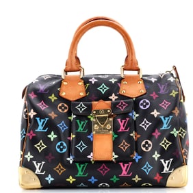 Louis Vuitton Speedy Handbag